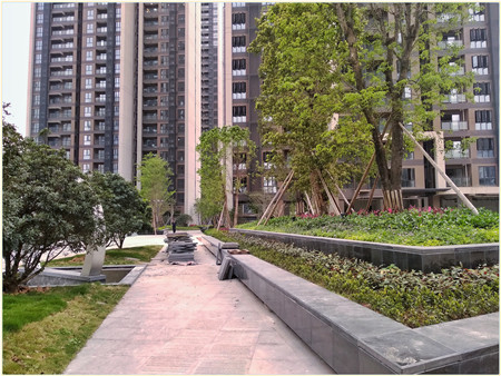微信图片_20190515113927.jpg