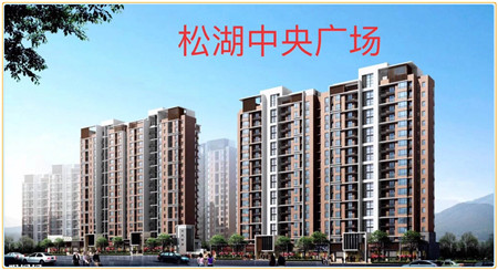 东莞大朗小产权房18998900702 (5).jpg