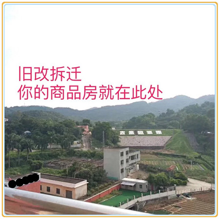 观澜小产权-金福花园 (1).JPG