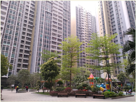 松岗_红星国际_小产权_统建楼_二手房_13392400839 (14).jpg