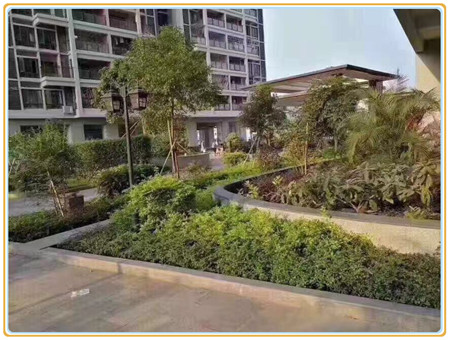 沙井小产权房-中泰国际 (7).jpg