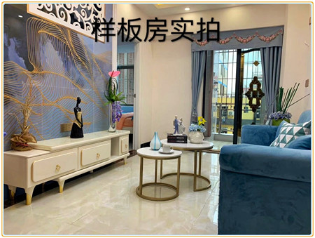 大浪小产权房_万豪公馆_华盛雅苑_13392400839 (8).jpg