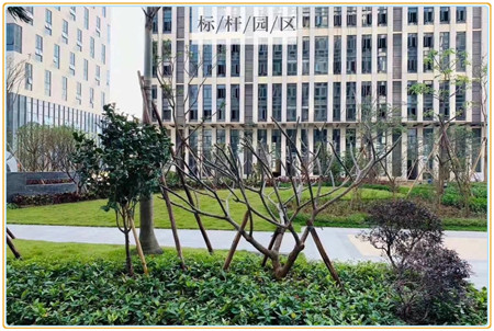 布吉小产权房_君悦花园_13392400839 (3).jpg