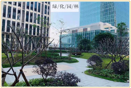 布吉小产权房_君悦花园_13392400839 (2).jpg