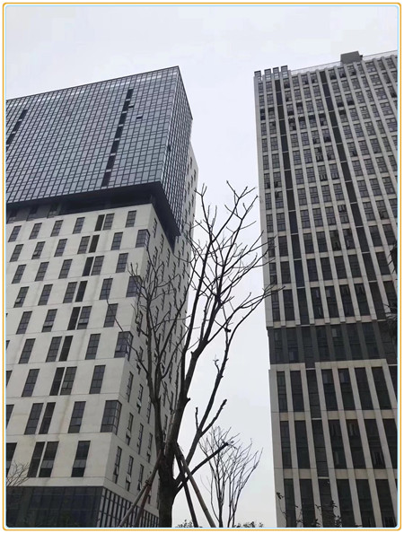 布吉小产权房_君悦花园_13392400839 (6).jpg