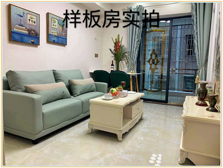 大浪小产权房_万豪公馆_华盛雅苑_13392400839 (1).jpg